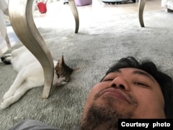 Daden bersantai sambil bekerja sebagai pengurus kucing (cat sitter) (foto: dokumen pribadi).