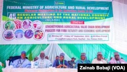 Najeriya Ce Ke Kan Gaba Wajen Noman Shinkafa Da Wasu Nau’ikan Abinci A Nahiyar Afirka