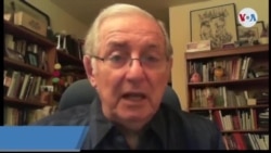 Remesas crecen por nuevos migrantes -Isaac Cohen- analista