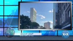 የመንግሥታቱ ጠቅላላ ጉባዔ የዛሬ ውሎና ሌሎች ዐበይት ትኩረት የሰጣቸው ጉዳዮች 