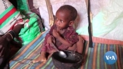 Biden to Focus on Food Security, Global Health at UN General Assembly