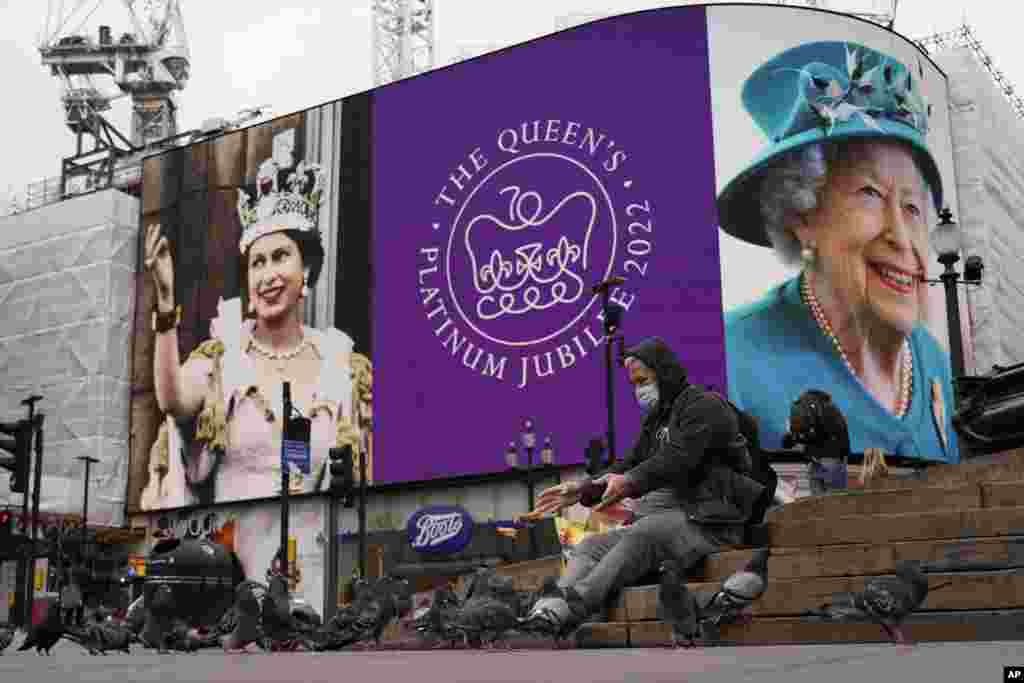 A man feeds birds as the screen in Piccadilly Circus is lit to celebrate the 70th anniversary of Britain's Queen Elizabeth's accession to the throne, in London.