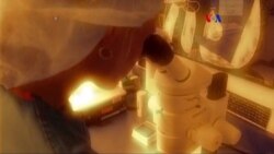 Fertilización in vitro