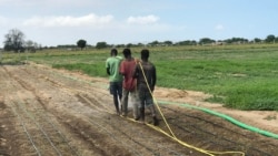 Angola lança programa de cem milhões de dólares para apoiar agricultura - 3:38
