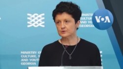 წულუკიანი ევროპარლმენტარებს მკაცრად აკრიტიკებს