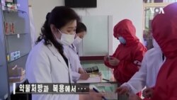 朝鮮目前正在應對兩種疾病的爆發