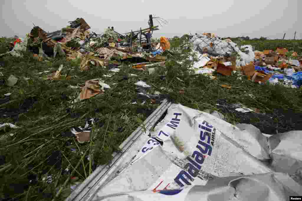 Wreckage from the nose section of a Malaysian Airlines Boeing 777 plane, which was downed on July 18, is seen near the village of Rozsypne, in the Donetsk region, July 18, 2014.