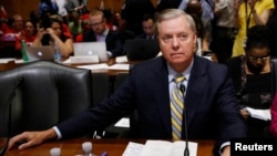 Сенатор Ліндсі Ґрем