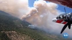 O'rmon yong'inlari va bugungi texnologiya