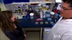 Fighting Infections in Post-antibiotic World