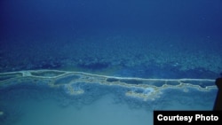 Along the segmented shoreline of the brine pool, in this photo provided by the research ship Nautilus. 