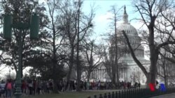 Maktab o'quvchilari qurol zo'ravonligiga qarshi