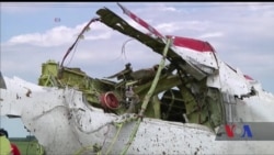 400 мільйонів доларів відсудили родичі загиблих у збитому над Україною літаку MH17. Відео