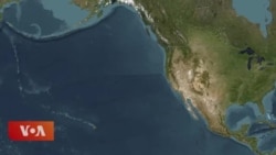 བཞི་འབྲེལ་རྒྱལ་ཁབ་ཀྱི་འགོ་ཁྲིད་ཚོས་རང་དབང་དང་ཞི་བདེ་གཅེས་འཛིན།