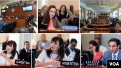 La comisión fue propuesta por Estados Unidos, Argentina, Chile, Colombia, Perú, México, Canadá y Brasil.