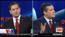 Saylov-2016: Prezidentlikka nomzodlar asosiy ishini qilmayapti