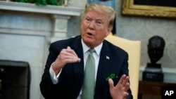 President Donald Trump speaks during a meeting with Irish Prime Minister Leo Varadkar in the Oval Office of the White House, March 14, 2019.
