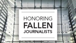 O'tgan yili 80 jurnalist halok bo'ldi - Navbahor Imamova