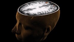 როგორი იქნება მსოფლიო 30 წელიწადში?