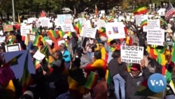 ትውልደ -ኢትዮጵያዊያን ከዋይት ኃውስ ፊት ለፊት የተቃውሞ ሰልፍ አደረጉ