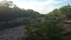 Le yiwaya yomngcele oyehlukanisa eleZimbabwe leleBotswana duzane ledamu leMabhongane.