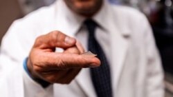 Quiz - Scientists Say Vaccine ‘Patch’ More Effective than Injections