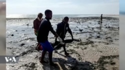 Le bilan du naufrage de migrants s'alourdit à 43 morts