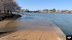 FILE - Part of the sidewalk near the Jefferson Memorial is covered in water during high tide at the Tidal Basin in Washington, DC on April 3, 2019. (AP Photo/Ashraf Khalil, File)