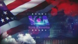 Live Talk: The Connection