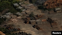 Los ecologistas han advertido que las fuertes declaraciones de Bolsonaro en favor del desarrollo de la Amazonía y criticando a la agencia de supervisión medioambiental animarán a los leñadores y ganaderos.