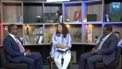 የኢትዮጵያ መንግሥት አንደበቶች - በዋሽንግተን ዲሲ - ክፍል ሁለት