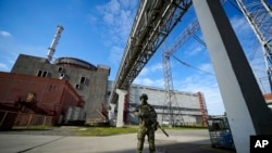 Russia Ukraine Nuclear Plant Explainer