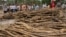 FILE - Cambodian villagers are pictured next to piles of timber in Koh Kong province, 300 kilometers southwest of Phnom Penh, in May 2012. The Cambodian government has long been battling the problem of illegal logging. 