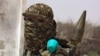FILE - An Islamist fighter loyal to Somalia's al-Qaida-inspired al-Shabab group holds his arms during military drills in a village in the Lower Shabelle region, outside Mogadishu, Feb. 17, 2011.