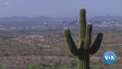 [VOA 뉴스] 미국 여성…‘북한 위장 취업 지원 혐의’ 인정