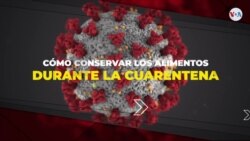 ¿Cómo conservar los alimentos de la manera más eficiente?