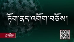 ཏོག་དབྱིབས་ནད་དུག་ཁྱབ་གདལ་དང་ནད་དུག་གསར་པ།