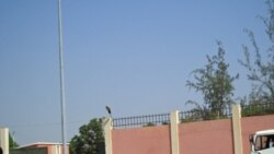 Petição para se libertar activista angolano - 1:25