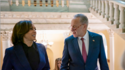 Kamala Harris dhe Chuck Schumer