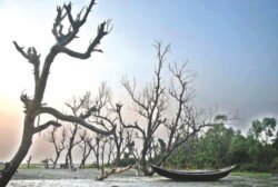 Učinak klimatskih promjena u obalnom pojasu Bangladeša.