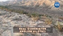 Qaqshagan yerlar - ko'kalamzor ... Qanday qilib? 