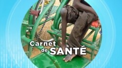 Carnet de santé : l’impact de la poliomyélite dans la société