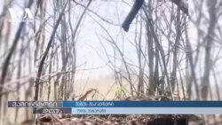 23 წლის ამერიკელი მოხალისე უკრაინაში დაჭრის შემდეგ კვლავ მებრძოლების დახმარებას ცდილობს