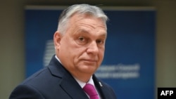 匈牙利總理歐爾班 (Viktor Orban)抵達布魯塞爾出席歐洲理事會圓桌會議。 （2023年12月14日）