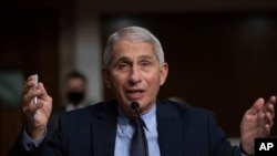 Dr. Anthony Fauci, Director of the National Institute of Allergy and Infectious Diseases at the National Institutes of Health, listens during a Senate hearing, Sept. 23, 2020, in Washington. 