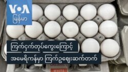 ကြက်ငှက်တုပ်ကွေးကြောင့် အမေရိကန်မှာ ကြက်ဥဈေးဆက်တက်
