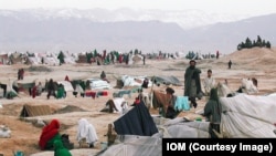 برگشت مهاجرین افغان از ایران و پاکستان نسبت به سال گذشته ۵۰ درصد کاهش یافته است