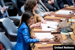 Nikki Xeyli BMTda, Nyu-York