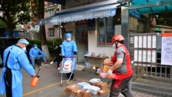 ཧྲང་ཧེ་གྲོང་ཁྱེར་དུ་ཏོག་དབྱིབས་ནད་དུག་གིས་མི་ལ་འཆི་སྐྱོན།