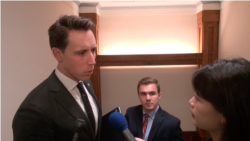 美国国会参议员霍利接受美国之音记者采访(2019年11月13日)